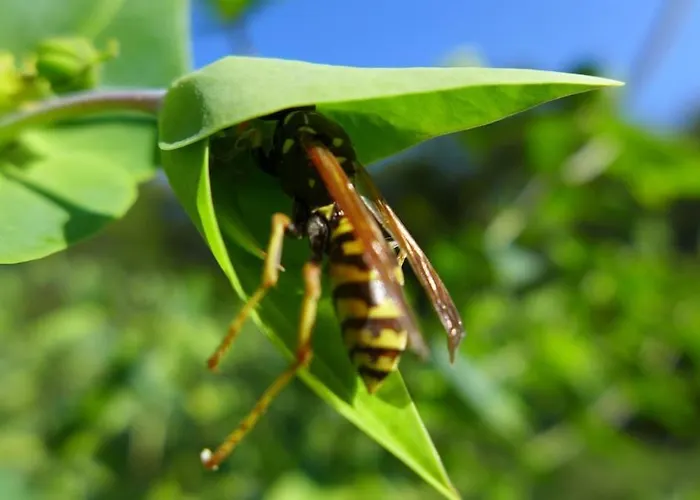 Apartman Vacation With A View Of Nature, Theater, Fireplace *