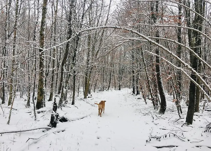 Vacation With A View Of Nature, Theater, Fireplace * Greifenstein