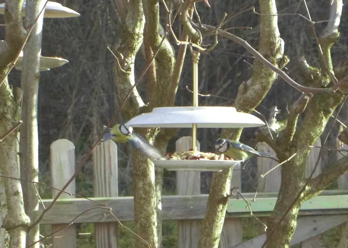 Apartman Vacation With A View Of Nature, Theater, Fireplace