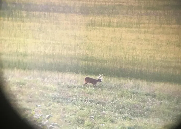 Vacation With A View Of Nature, Theater, Fireplace Apartman *