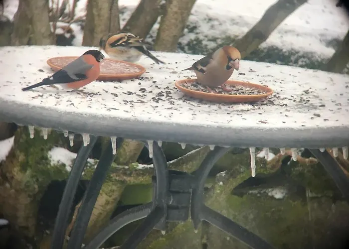 Vacation With A View Of Nature, Theater, Fireplace * Greifenstein