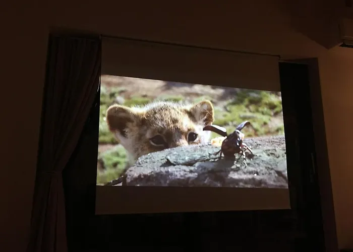 Vacation With A View Of Nature, Theater, Fireplace