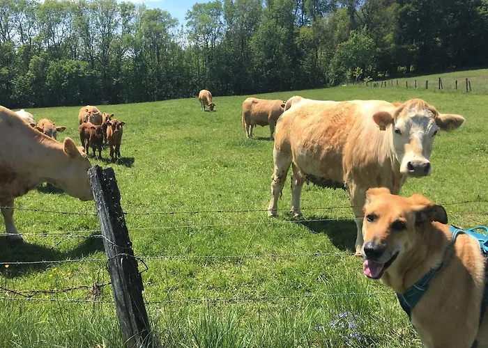 Apartman Vacation With A View Of Nature, Theater, Fireplace *